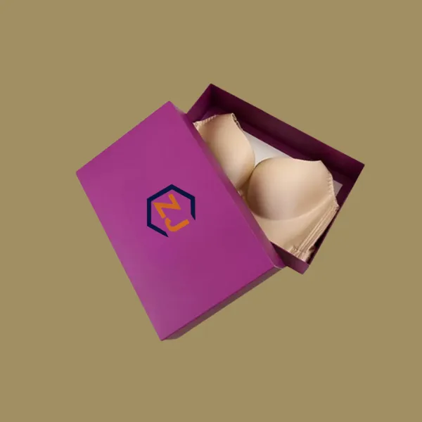 Bra-packaging-box