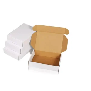 Kraft White Boxes