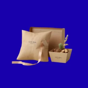 Custom Kraft Pillow Boxes