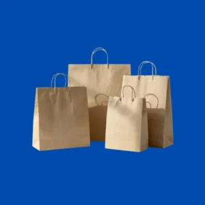 Paper Bags with Handles Wholesale