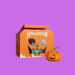 Halloween Treat Boxes