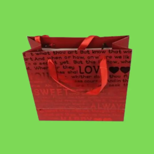 christmas holiday gift bags