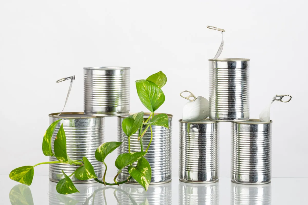 Sustainability of Tin Packaging