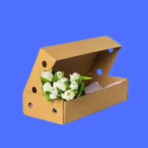 Flower Shipping Boxes