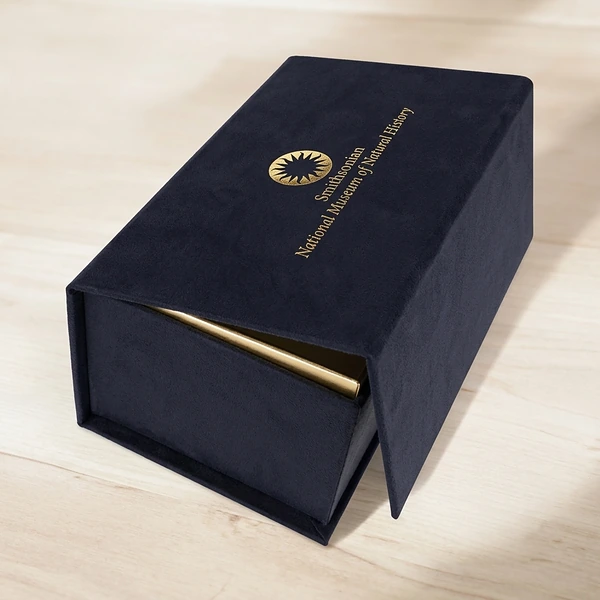 Custom Binding Boxes